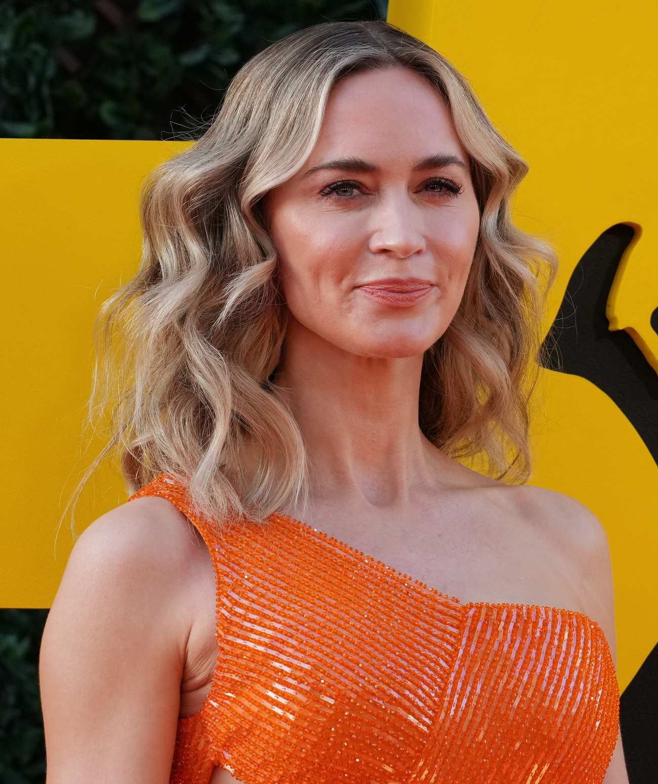 Emily_Blunt_-_The_Fall_Guy_premiere_n_Los_Angeles2C_California_on_April_302C_2024_29.jpg