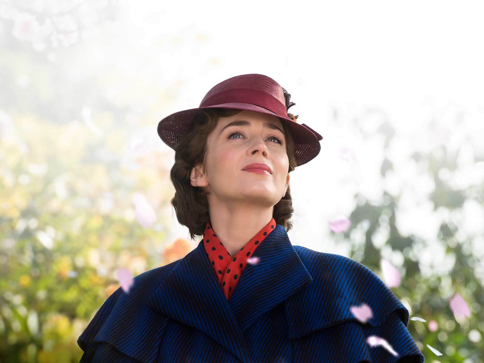 stills_28129~1.jpg