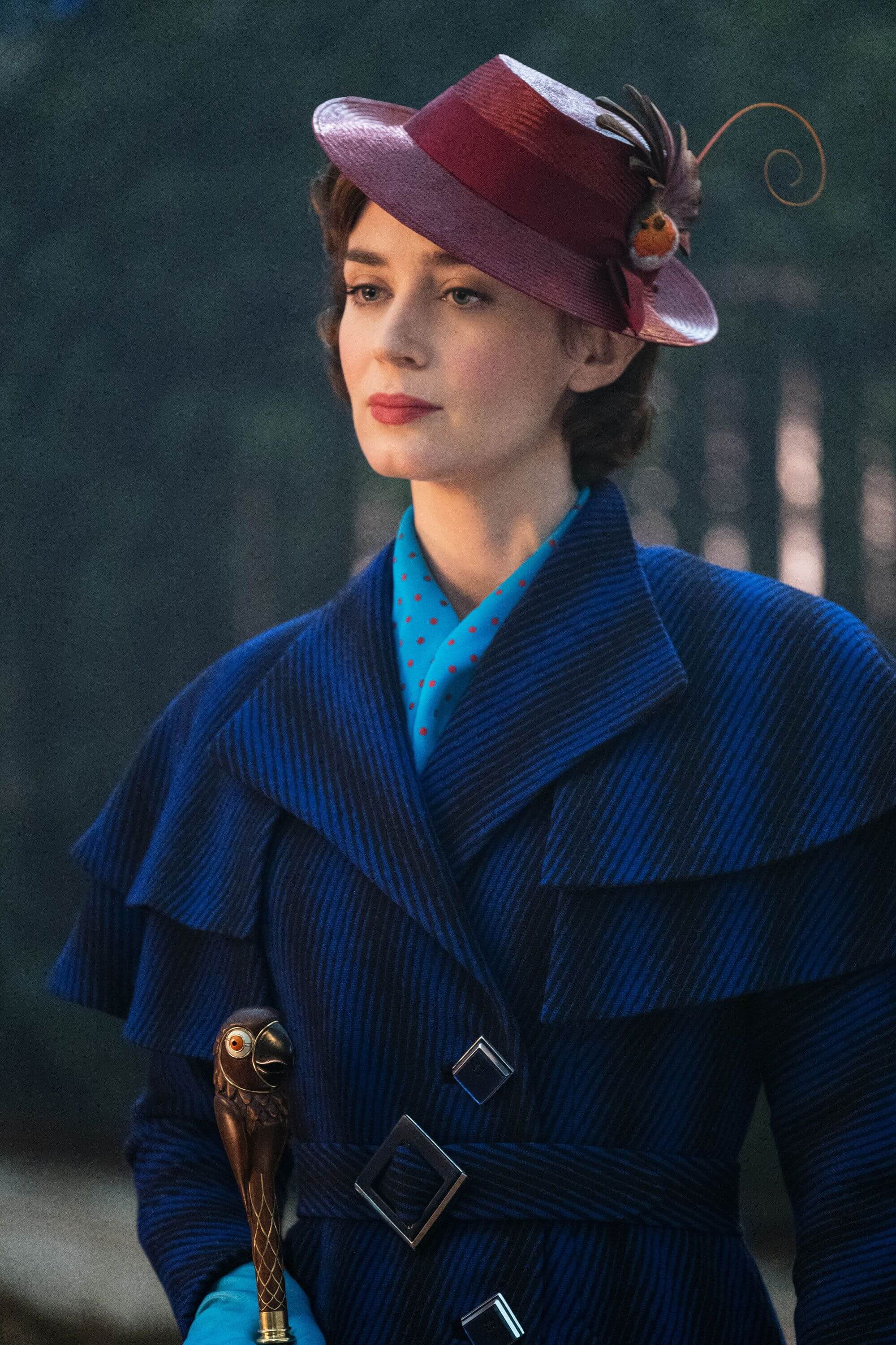 stills_28229~2.jpg